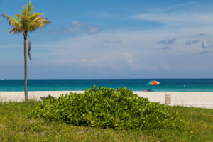 Beach Haulover Park