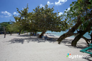 Beach at Hedonism II/Oyster