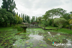 Grounds at The Chedi Club Tanah Gajah a GHM Hotel