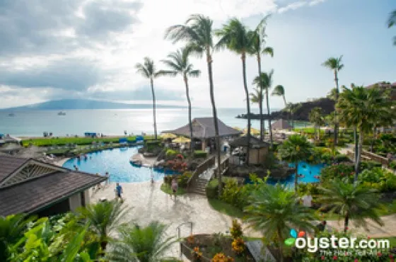 Hawaii pool with Palm Tree