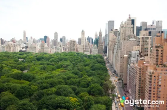 New York City dining hall with Central Park