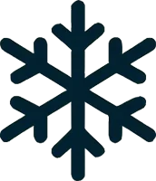 Winter snowflake